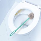 Toilet Brush Round 555 x 555_New Vis 1