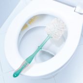 Toilet Brush With Caddy Round 555 x 555_New Vis 1